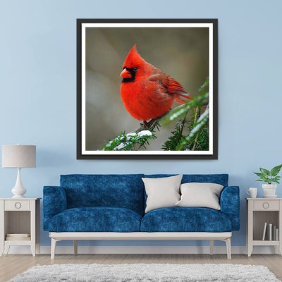 Petit Oiseau Cardinalidé Broderie Diamant
