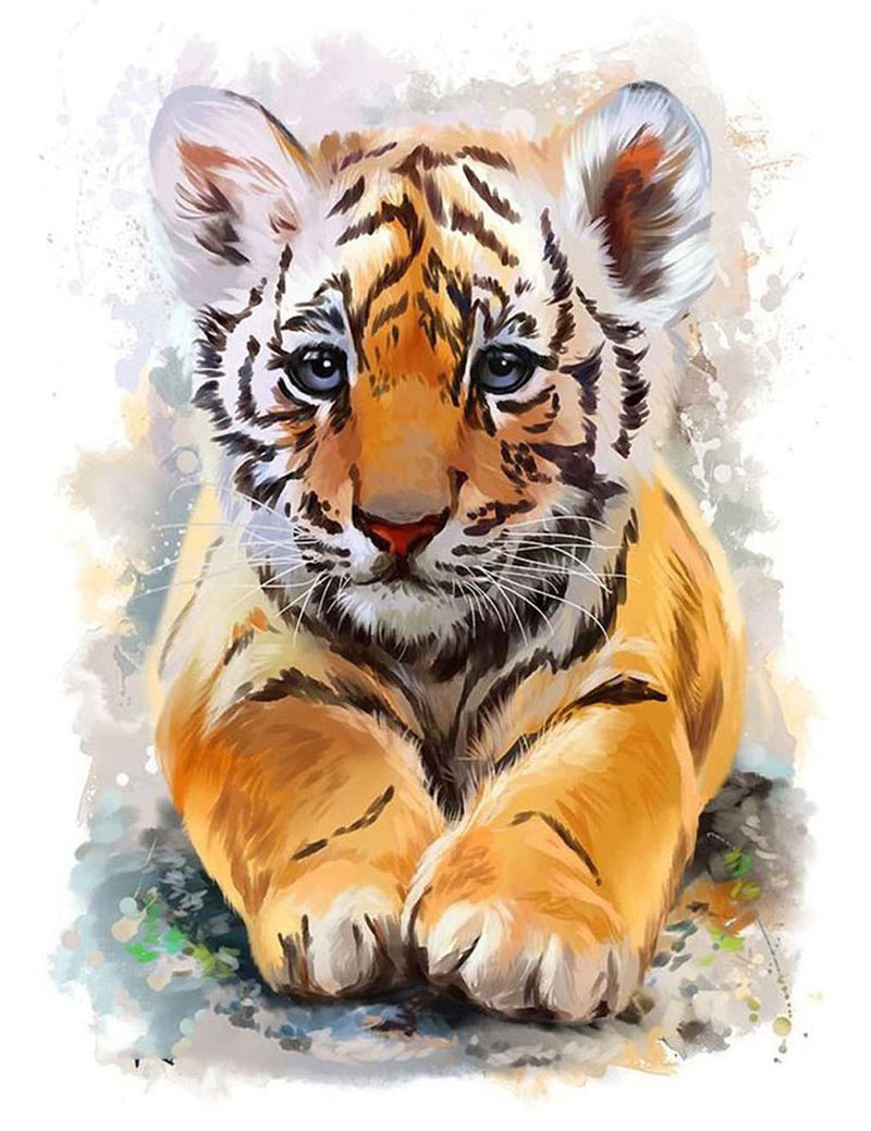 Petit Tigre du Bengale Animal Broderie Diamant