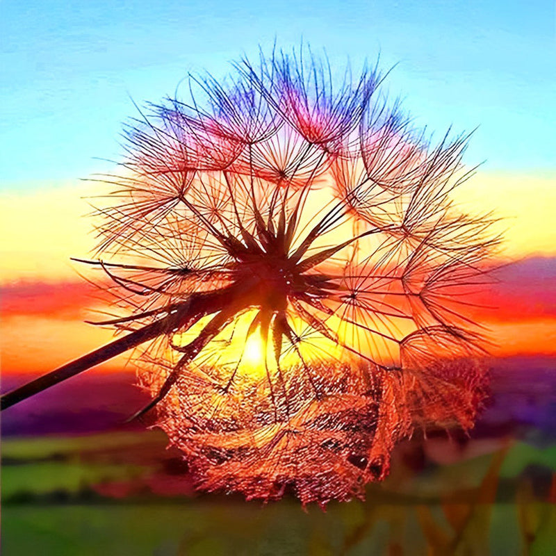 Pissenlit et le Soleil Broderie Diamant