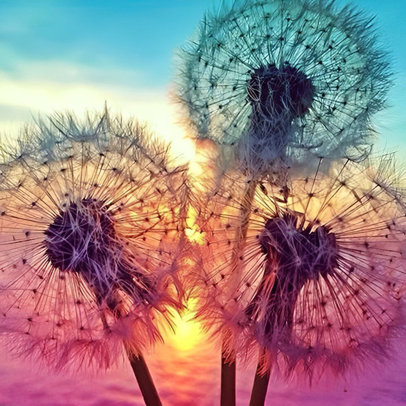 Pissenlits et le Soleil Broderie Diamant