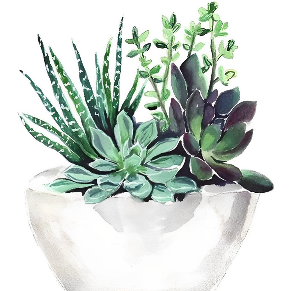 Plantes Grasses et Aloès Broderie Diamant