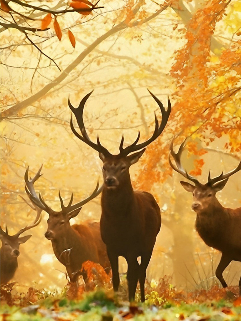 Quatre Cerfs et Feuilles Roux Broderie Diamant