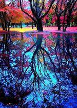 Reflet d'Arbre dans l'Eau Broderie Diamant