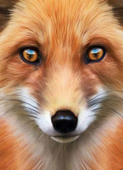 Renard Roux aux Yeux Oranges et Noirs Broderie Diamant