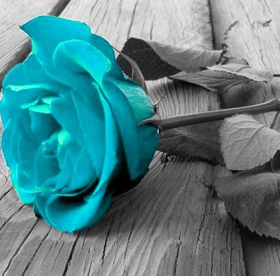 Rose Bleu Broderie Diamant
