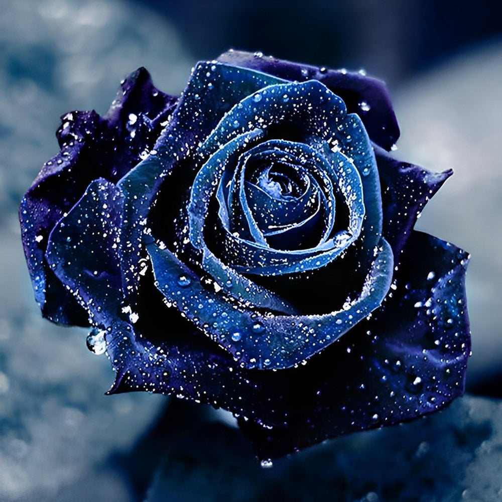Rose Bleue avec des Rosées Broderie Diamant
