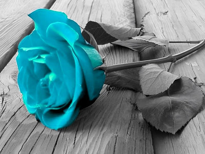 Rose Bleue sur Bois Broderie Diamant