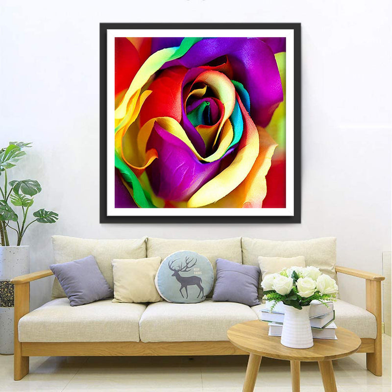 Rose d&