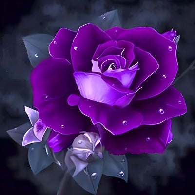 Rose Pourpre Broderie Diamant