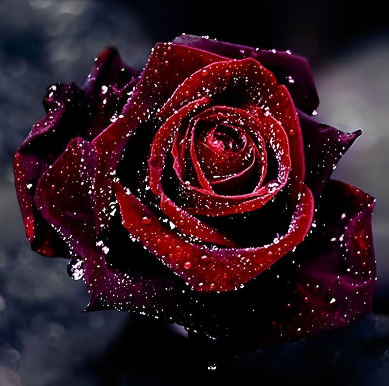 Rose Rouge avec Pluie Broderie Diamant