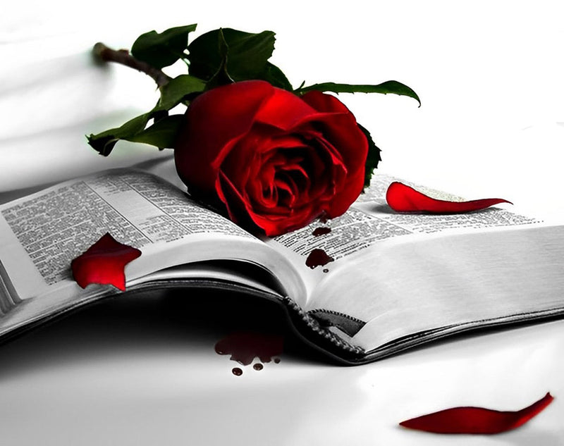 Rose Rouge et Livre Broderie Diamant