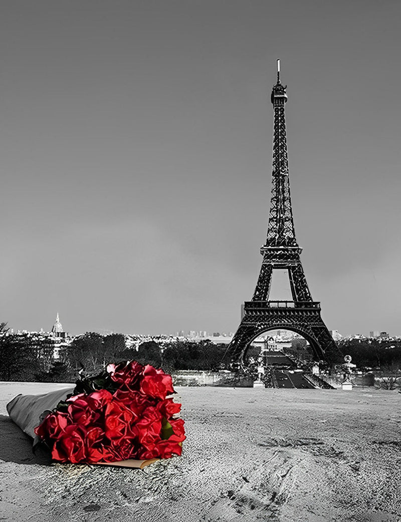 Rose Rouge et Tour Eiffel Broderie Diamant