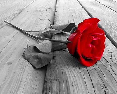 Rose Rouge sur Bois Broderie Diamant