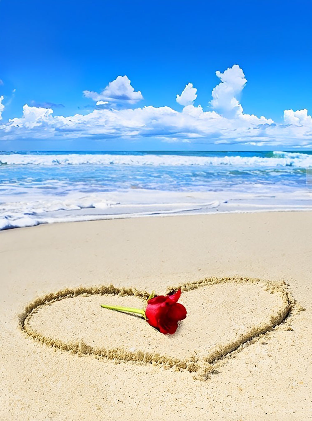 Rose Rouge sur la Plage Aimer Populaire Broderie Diamant