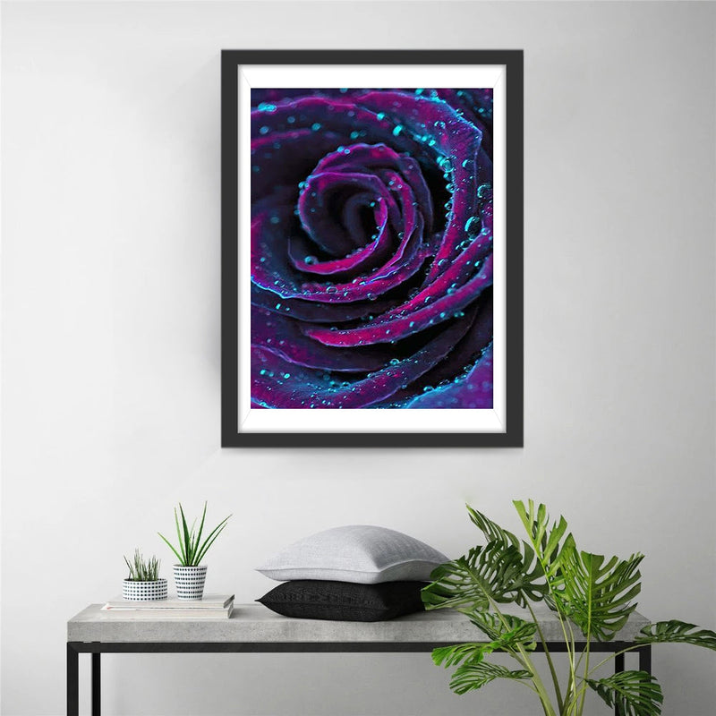 Rose Violette-Bleue Broderie Diamant