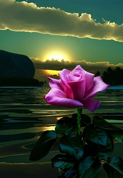 Rose Violette et le Soleil Levant Broderie Diamant