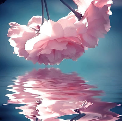 Roses et Leurs Reflet dans l'Eau Broderie Diamant