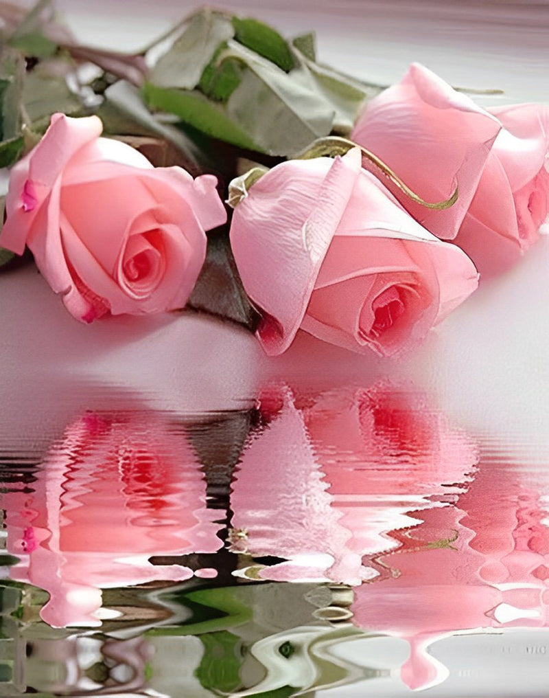 Roses Roses Broderie Diamant