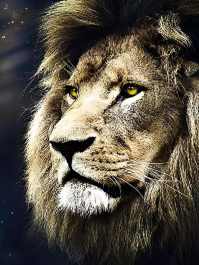 Rroi de Tous les Bêtes Lion Broderie Diamant