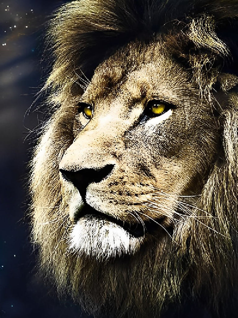 Rroi de Tous les Bêtes Lion Broderie Diamant