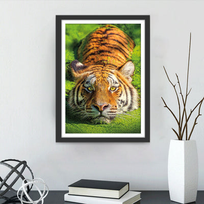 Tigre Allongé sur la Pelouse Broderie Diamant