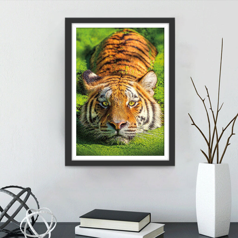 Tigre Allongé sur la Pelouse Broderie Diamant