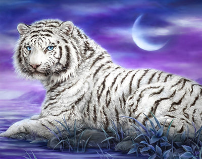 Tigre Blanc et le Ciel Violet Broderie Diamant