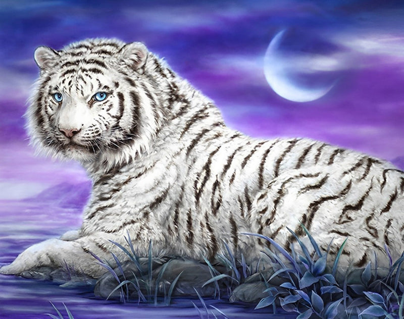 Tigre Blanc et le Ciel Violet Broderie Diamant