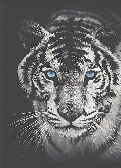 Tigre Blanc et Noir aux Yeux Bleus Broderie Diamant