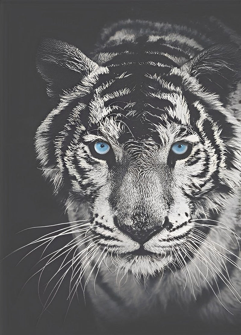 Tigre Blanc et Noir aux Yeux Bleus Broderie Diamant