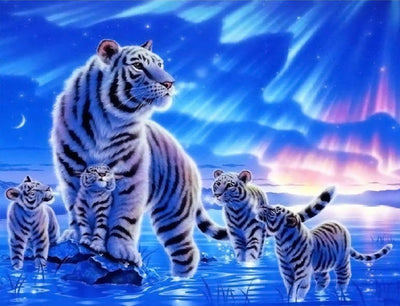 Tigre Blanc et Ses Enfants avec l'Aurore Polaire Broderie Diamant