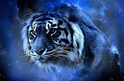 Tigre Bleu Broderie Diamant