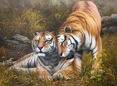 Tigre Couple S'embrassant Broderie Diamant