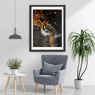 Tigre dans l'Obscurité Broderie Diamant
