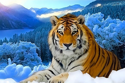 Tigre dans la Montagne Enneigée Broderie Diamant