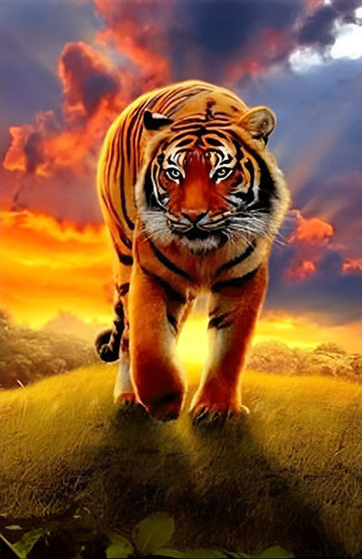 Tigre dans le Soleil Couchant Broderie Diamant
