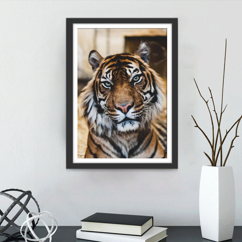 Tigre de Sumatra Broderie Diamant