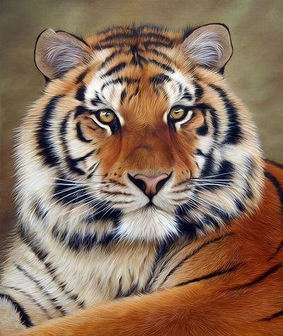 Tigre du Bengale avec Visage Rond Broderie Diamant