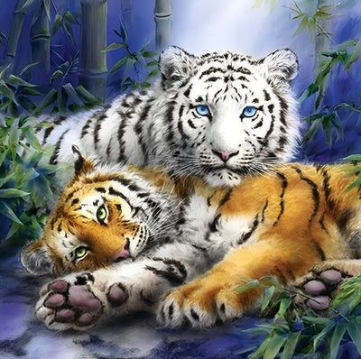 Tigre du Bengale et Tigre Blanc Broderie Diamant