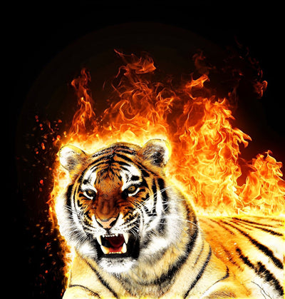 Tigre du Bengale Féroce dans les Flammes Broderie Diamant