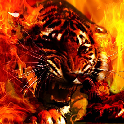 Tigre Féroce dans les Flammes Broderie Diamant