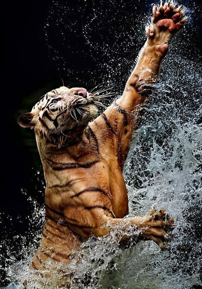 Tigre Jouant avec l'Eau Broderie Diamant
