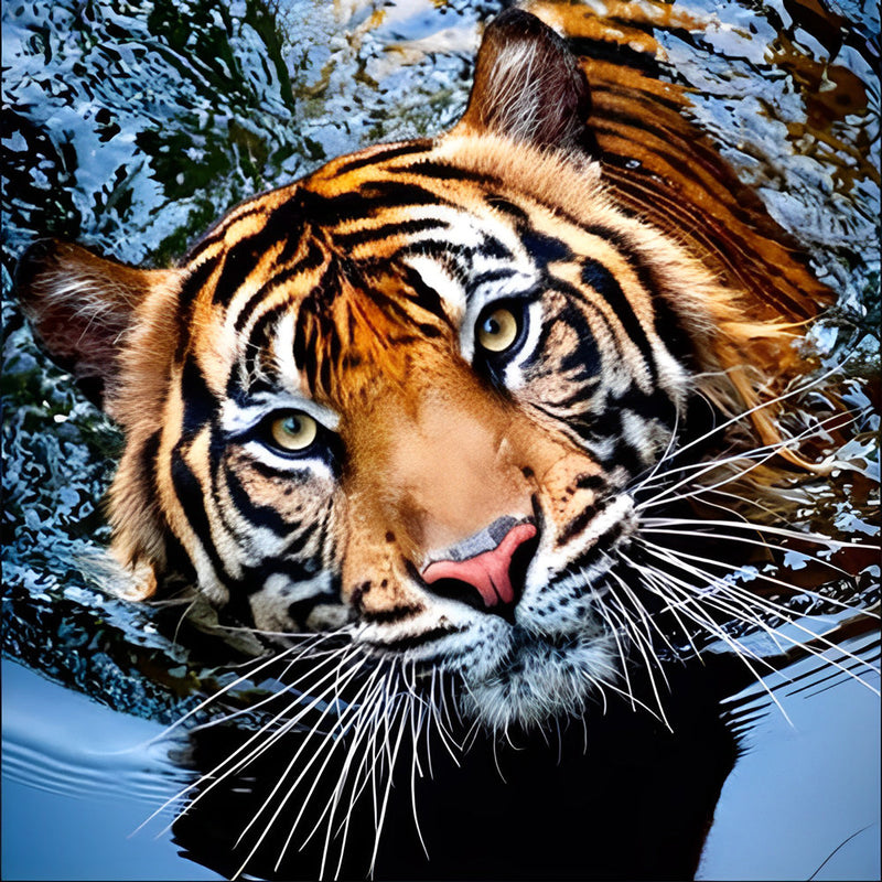 Tigre Levant la Tête et Regardant vers le Haut Broderie Diamant
