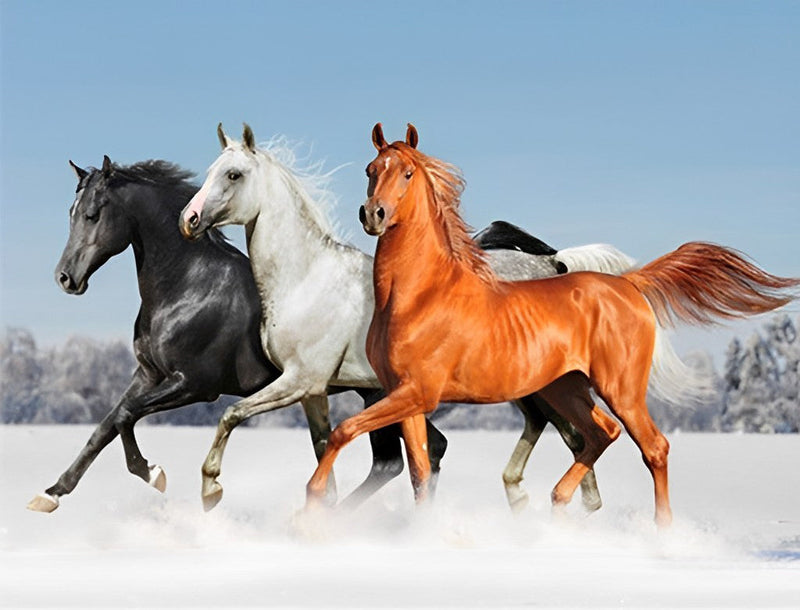 Tois Chevaux Différants dans la Neige Broderie Diamant