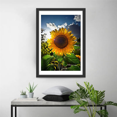 Tournesol Contre-jour Broderie Diamant