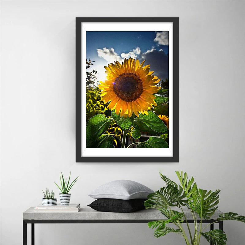 Tournesol Contre-jour Broderie Diamant