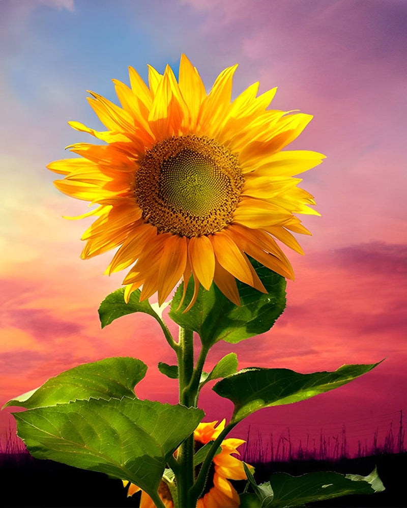 Tournesol et le Ciel Rouge Broderie Diamant