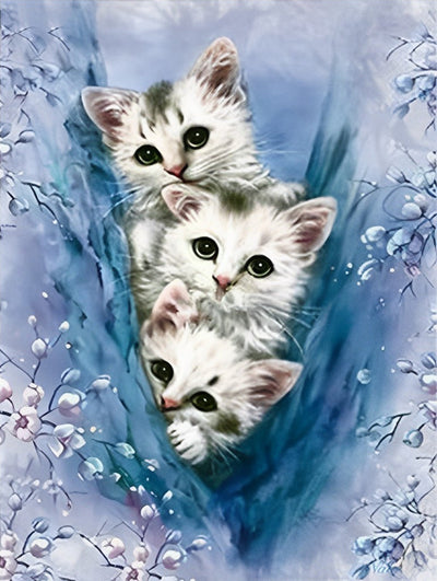 Trois Chatons Jouant à Cache-cache Broderie Diamant