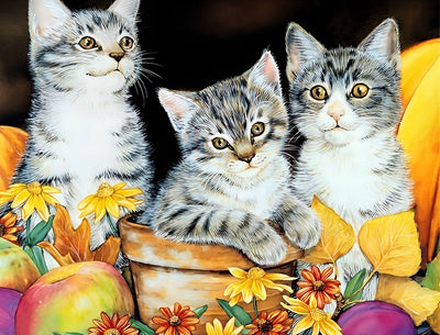 Trois Chatons Tigrés Gris Broderie Diamant
