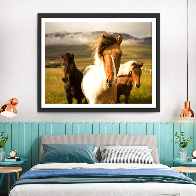 Trois Chevaux sur la Pelouse Broderie Diamant